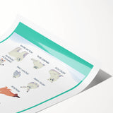 Arctic Animals Kids Educational Wall Art - Learning Print