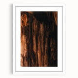 Abstract art print of fall foliage in muted orange and brown tones, framed in white, ideal for dining room decor.
