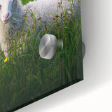 Large abstract wall art in pastel shades on acrylic glass, featuring a mid-century modernist style.