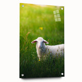 Large abstract wall art on acrylic glass depicting spring themes in soft green and pink tones.