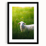 Extra large abstract art print featuring vibrant, colorful textures on a black framed canvas, ideal for living room decor.