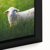 Extra large black wall art on canvas featuring a textured, colorful abstract design, ideal for living room decor.