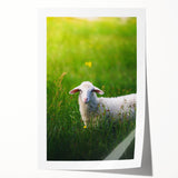 Extra large rolled canvas print featuring vibrant spring floral art, ideal for dining room or bathroom wall decor.