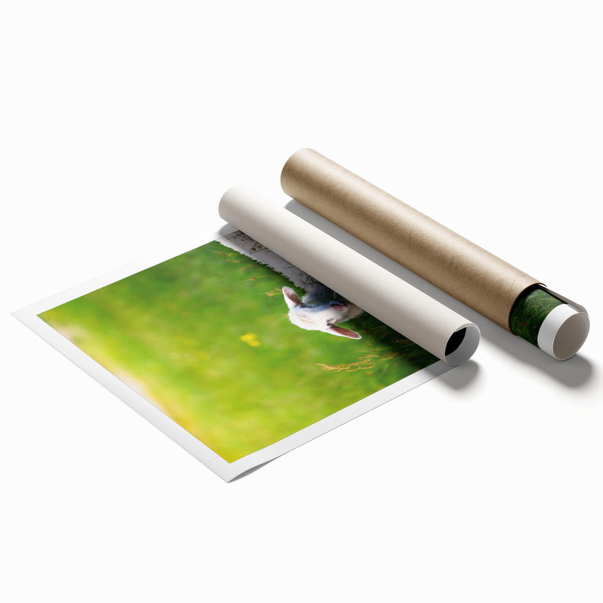 Extra large rolled print featuring a vibrant floral design in spring colors, ideal for classy bathroom wall art.