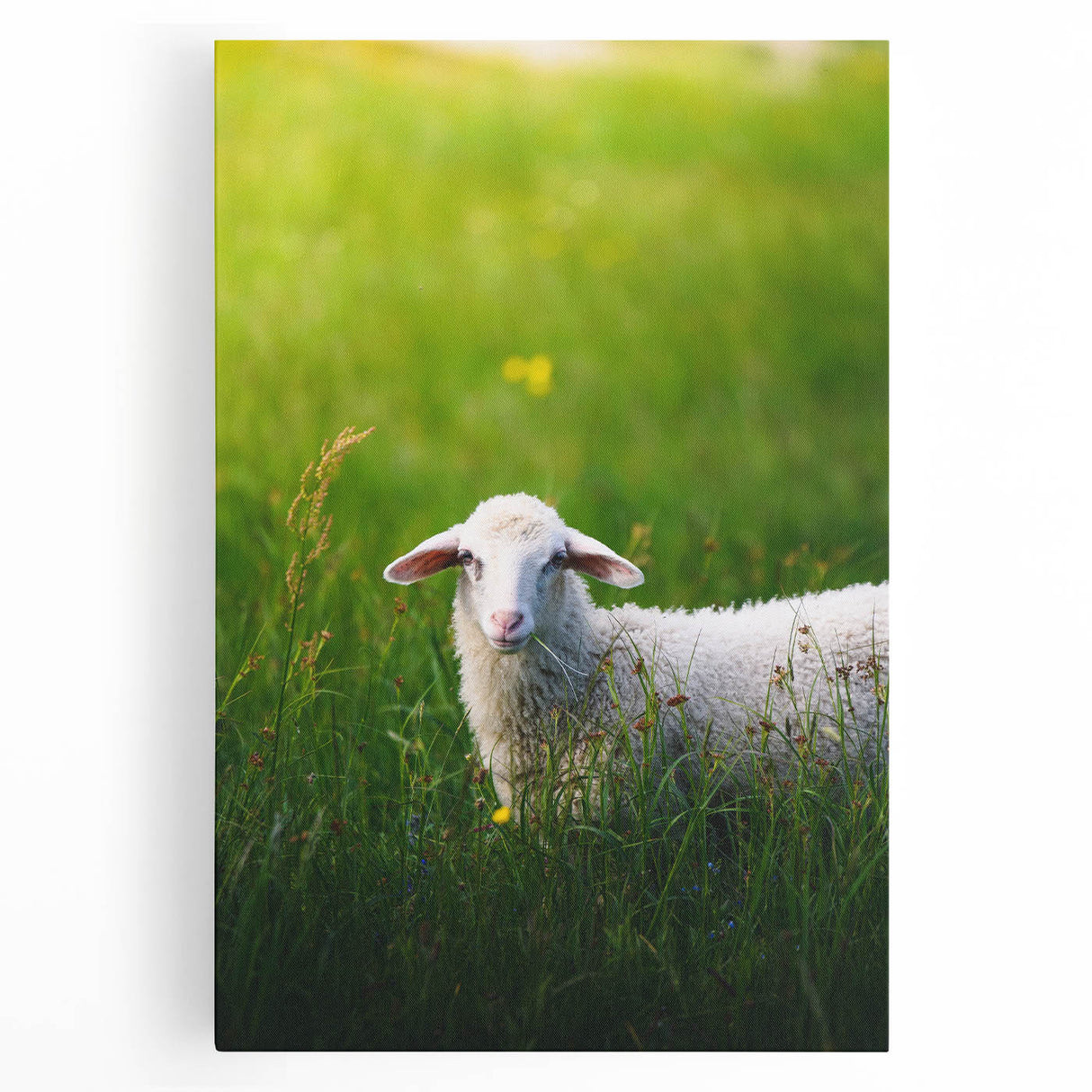Large black and white stretched canvas depicting a minimalist spring season design, ideal for kitchen wall art.