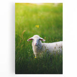 Large black and white stretched canvas depicting a minimalist spring season design, ideal for kitchen wall art.