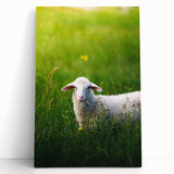 Large black and white stretched canvas depicting a minimalist spring scene, ideal for kitchen wall art or bedroom ambiance.