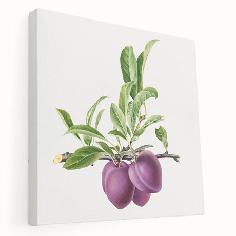 Colorful fruit-themed large art on stretched canvas, ideal for kitchen wall decor.