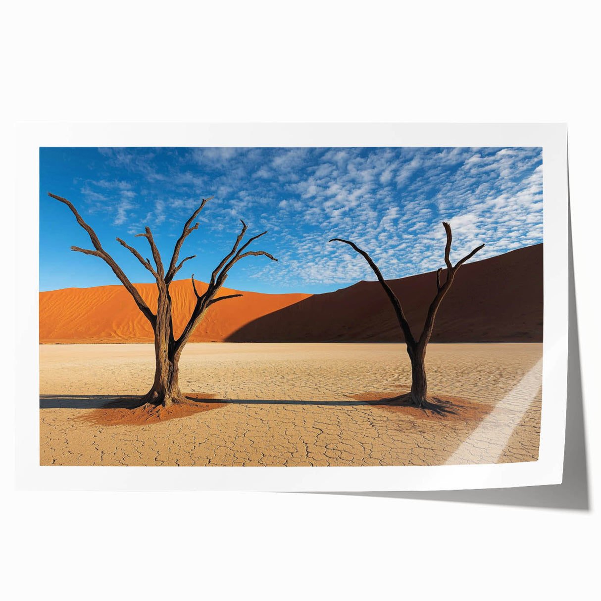 Desert landscape rolled print showcasing warm tones of orange and yellow hues, featuring textured details and packaged securely in a cardboard tube for safe delivery.