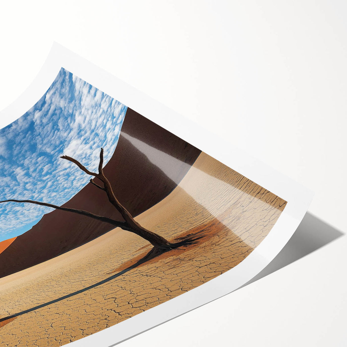 Detailed desert landscape rolled print showcasing vibrant colors and intricate textures, elegantly packaged in a protective cardboard tube for easy display. Perfect for home decor enthusiasts seeking unique art pieces.