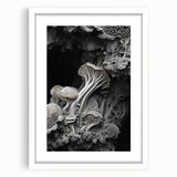 Abstract art print featuring natural elements in muted earth tones, framed in white.