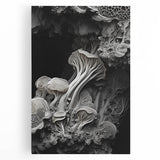 Black and white close-up photo of natural elements on stretched canvas, ideal for kitchen wall art.
