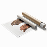 Terrapin Realism Art Print - Flat-Backed and Spinose Terrapins Zoology Art