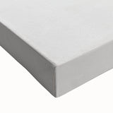 Terrapin Realism Art Print - Flat-Backed and Spinose Terrapins Zoology Art