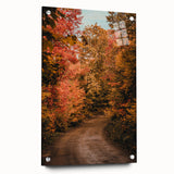 Large abstract wall art depicting fall colors on acrylic glass, ideal for bedroom or dining room decor.