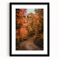 Extra large abstract art print featuring vibrant autumn colors on textured canvas, framed in black.