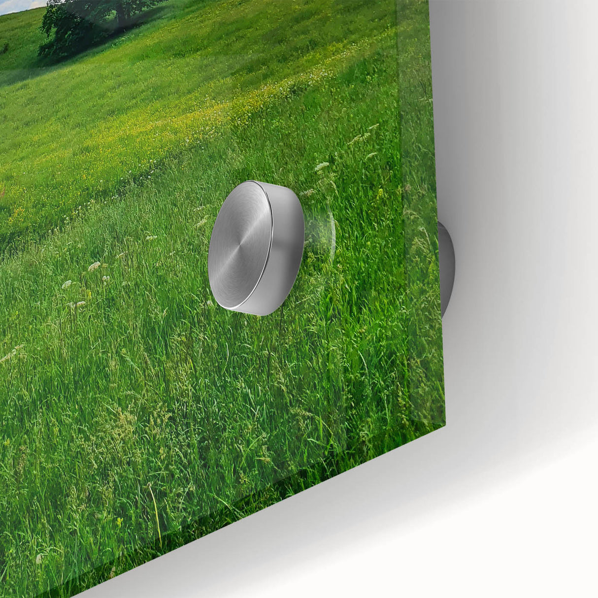 Large abstract wall art in pastel shades on acrylic glass, depicting spring themes, ideal for dining room ambiance.
