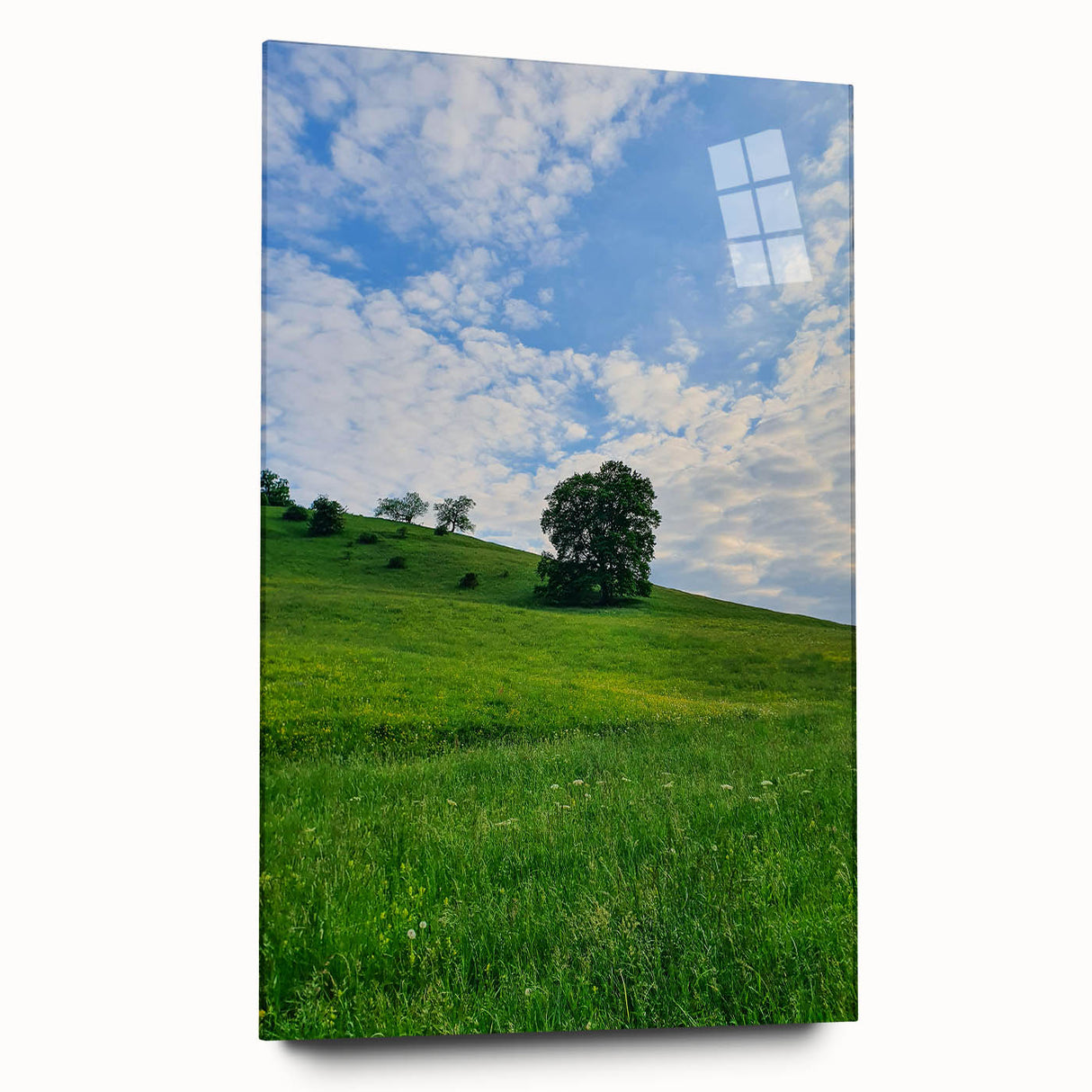 Large abstract wall art on acrylic glass depicting spring themes in soft green and pink tones.