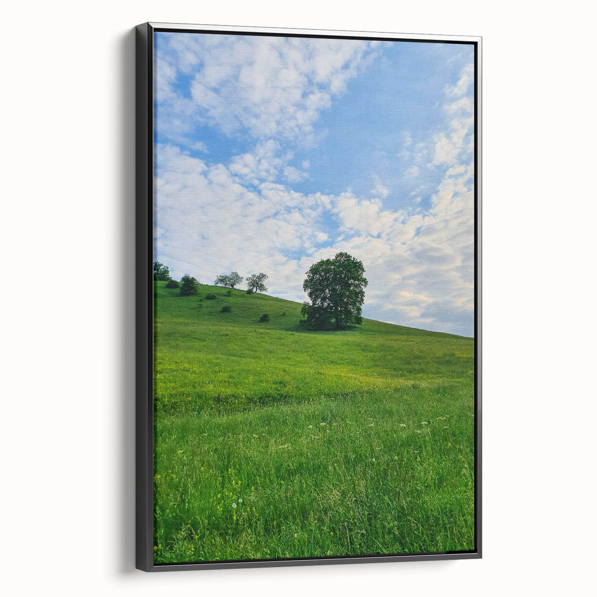 Black and white vintage poster art of a spring landscape on framed canvas, suitable for bedroom wall decor.