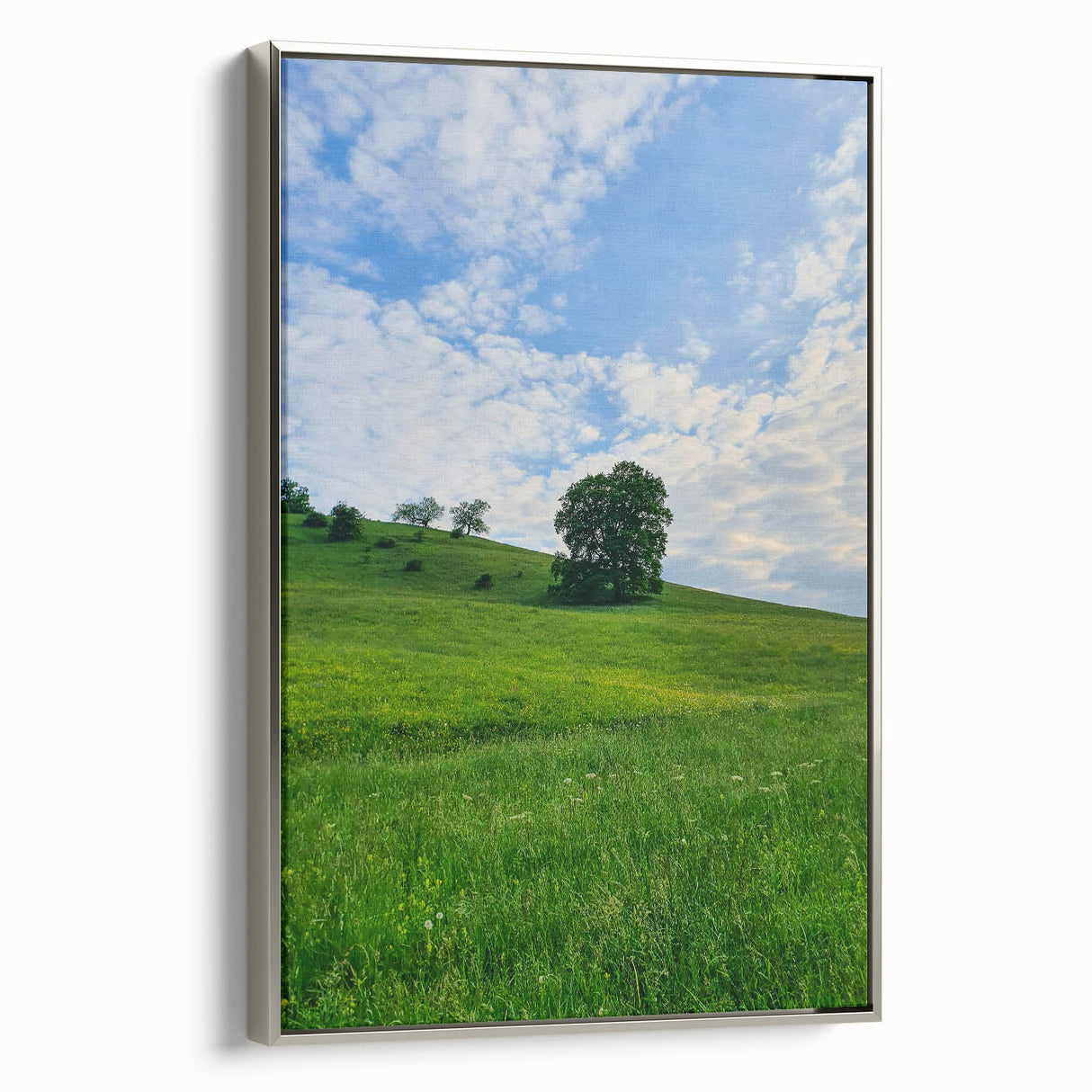 Landscape art painting of spring season on framed canvas, featuring colorful flora against a black backdrop.