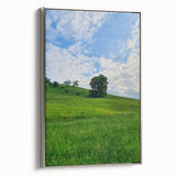 Landscape art painting of spring season on framed canvas, featuring colorful flora against a black backdrop.