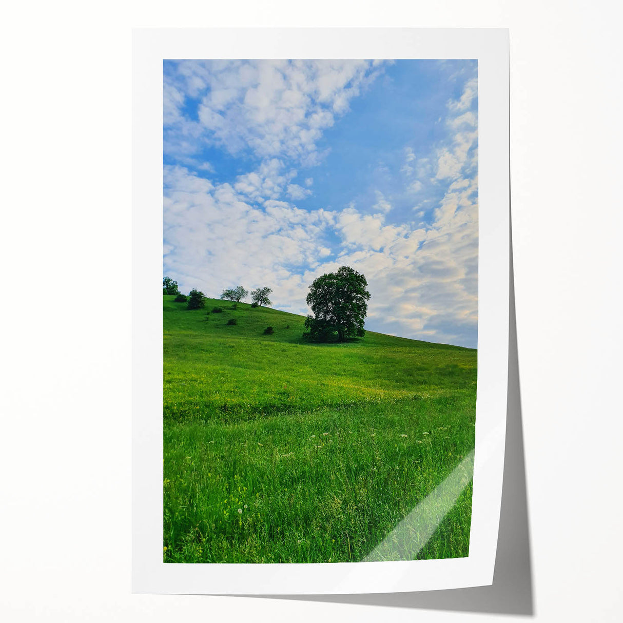 Extra large rolled print of spring-themed floral art with bright green and pink colors.