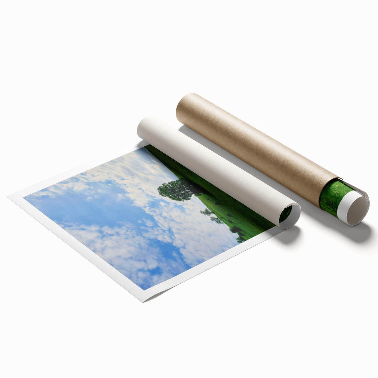 Extra large rolled print featuring a spring floral design in pastel shades.