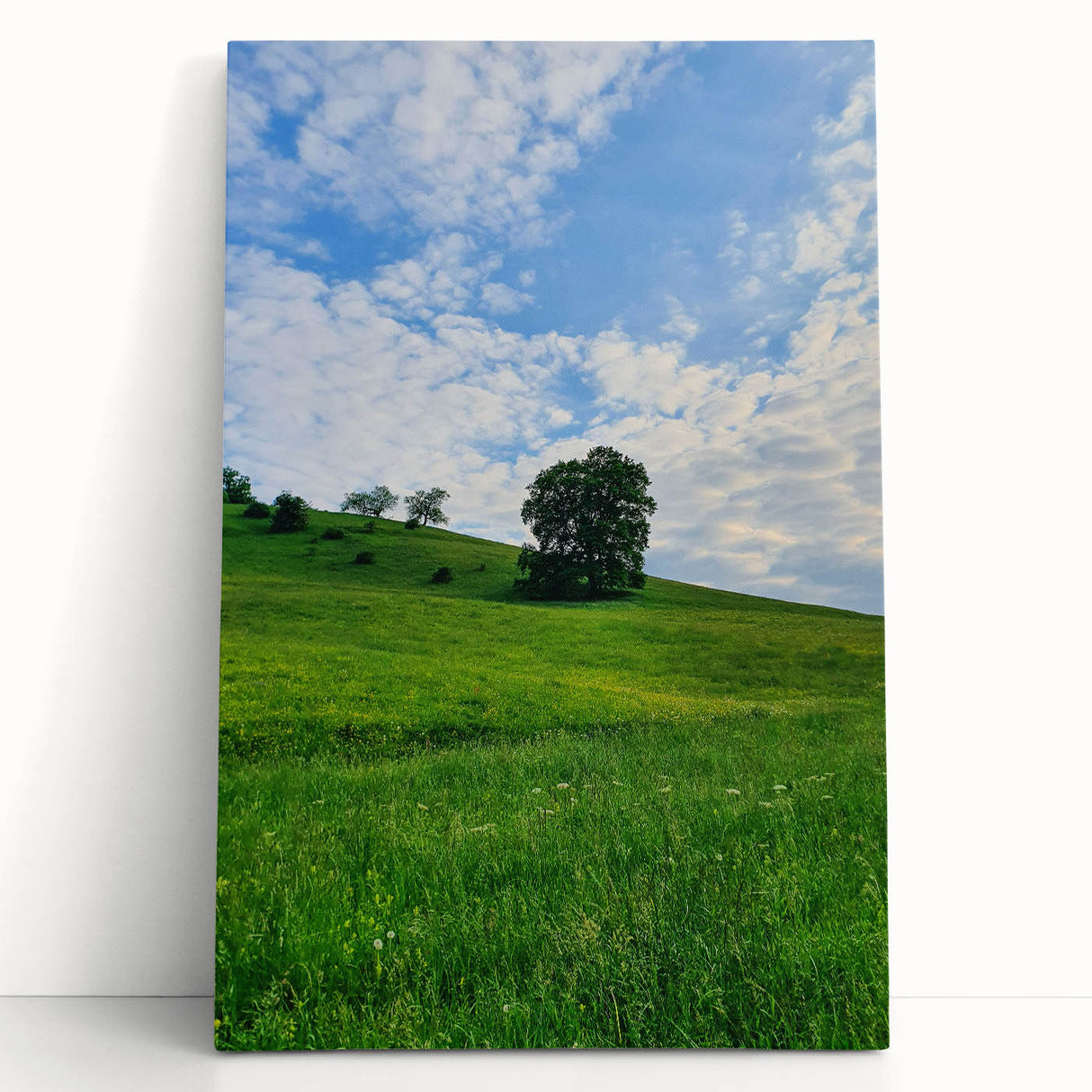 Large black and white stretched canvas depicting a spring scene, ideal for kitchen wall art or bedroom ambiance.