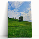 Large black and white stretched canvas depicting a spring scene, ideal for kitchen wall art or bedroom ambiance.