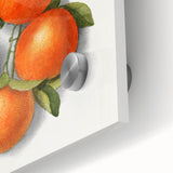 Close-up of large abstract wall art featuring assorted fruits in vibrant colors on acrylic glass.