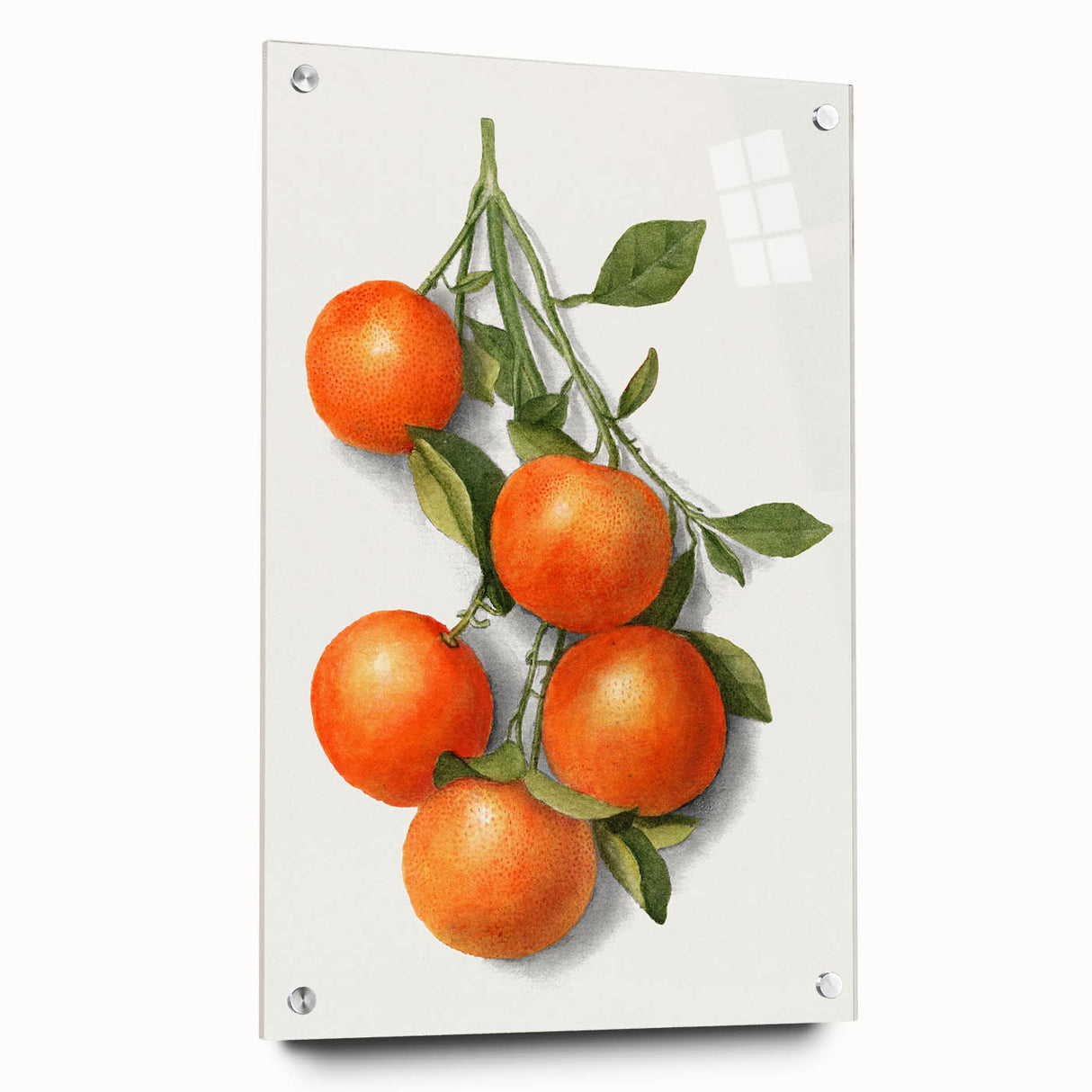 Large abstract wall art featuring assorted fruits in vibrant colors on acrylic glass, suitable for dining room decor.