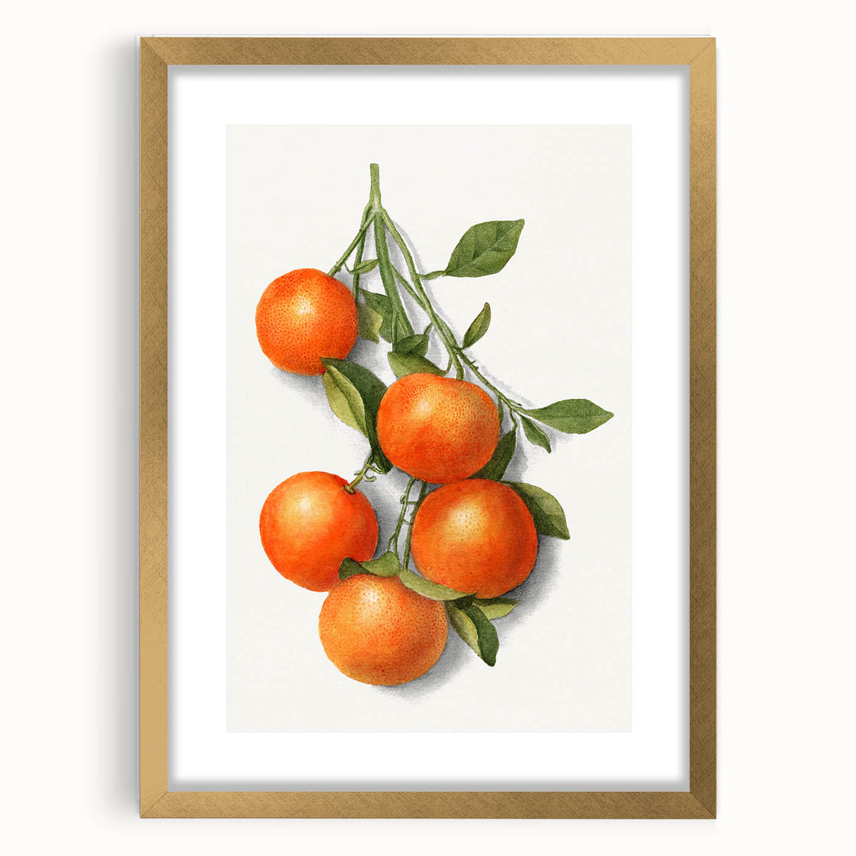 Extra large abstract art print featuring textured fruits in vibrant orange and green, framed in gold.