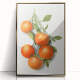 Large art print of assorted fruits in a mid-century modernist style on a gold-framed acrylic, ideal for modern kitchen decor.