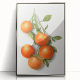 Mid-century modernist art featuring an array of colorful fruits on a silver-framed acrylic print.