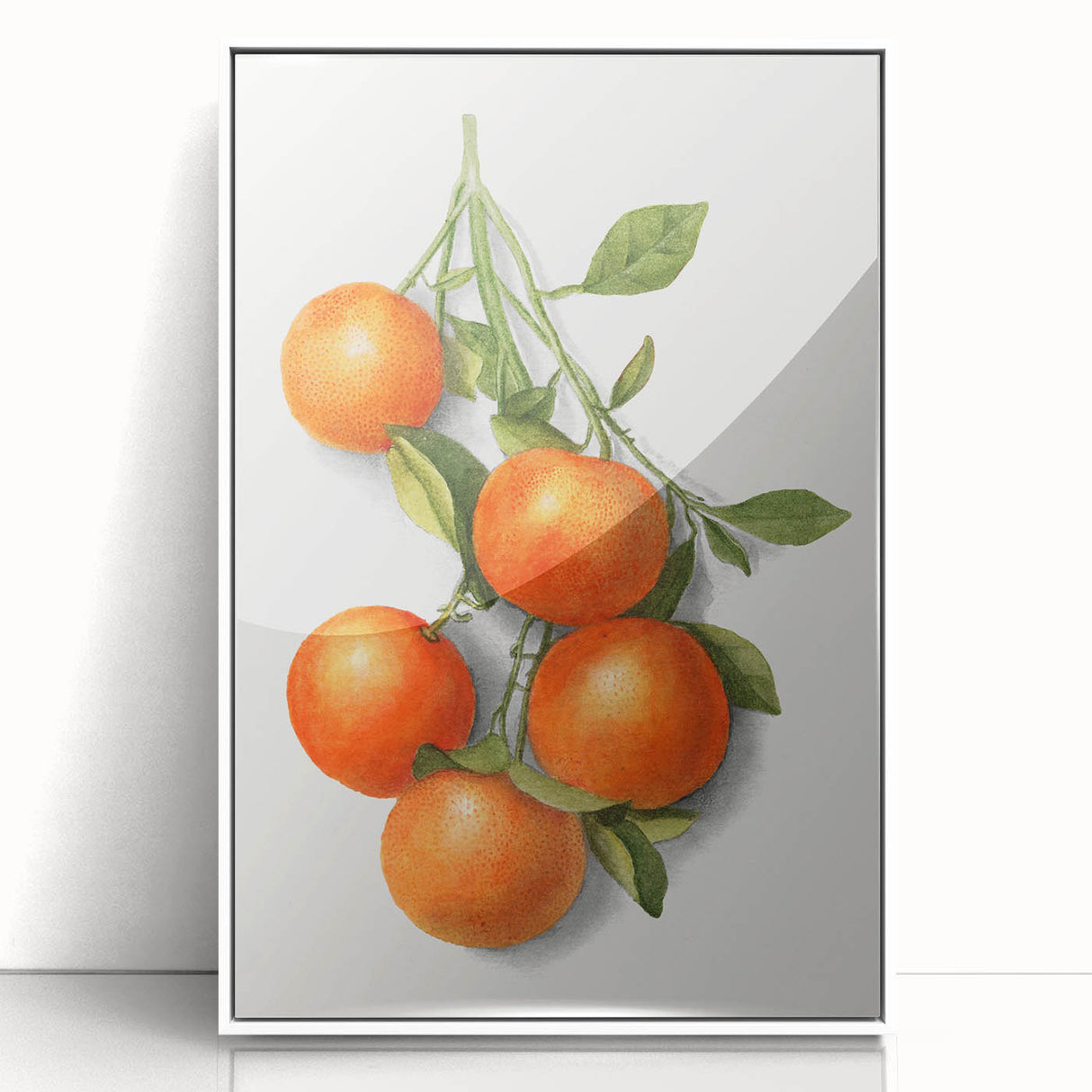 Art deco poster featuring an array of fruits in vibrant colors on a white acrylic framed print.