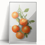 Art deco poster featuring an array of fruits in vibrant colors on a white acrylic framed print.