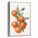 Framed canvas of vintage poster art featuring a colorful fruit landscape, ideal for kitchen wall decor.