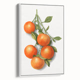 Vintage poster art of colorful fruits on a white framed canvas, ideal for living room decor.