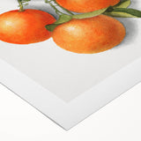 Art deco poster featuring vibrant array of fruits on rolled canvas, suitable for dining room wall.