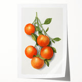 Rolled print of a vibrant still-life with mixed fruits and flowers, ideal for art wall dining room decor.