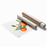 Extra large rolled print featuring an assortment of colorful fruits on a white background.