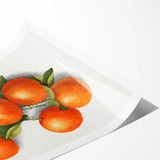 Extra large wall art featuring line art flowers in black on white, rolled print, ideal for large living room decor.