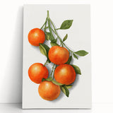 Large black and white stretched canvas featuring an assortment of fruits, ideal for kitchen wall art.