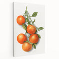 Large art canvas featuring an array of colorful fruits, ideal for kitchen wall decor.