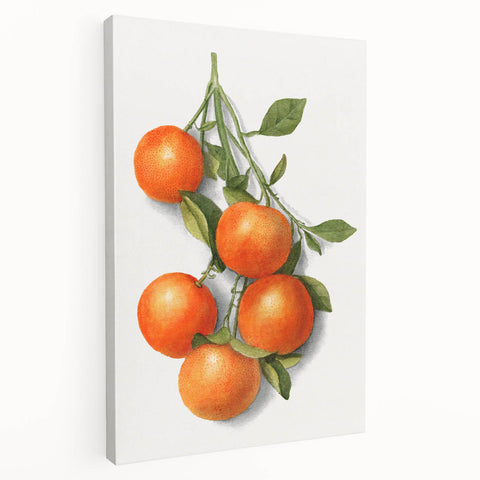 Large art canvas featuring an array of colorful fruits, ideal for kitchen wall decor.