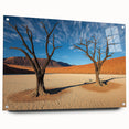 Desert landscape acrylic glass artwork showcasing vibrant colors and intricate details, mounted with pins for an eye-catching display in modern decor.