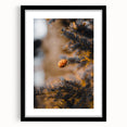 Extra large abstract art print with textured fall colors on canvas, framed in black, ideal for living room decor.