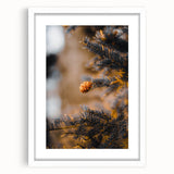 Abstract art print depicting autumnal hues in a white framed mat, suitable for bedroom or dining room decor.