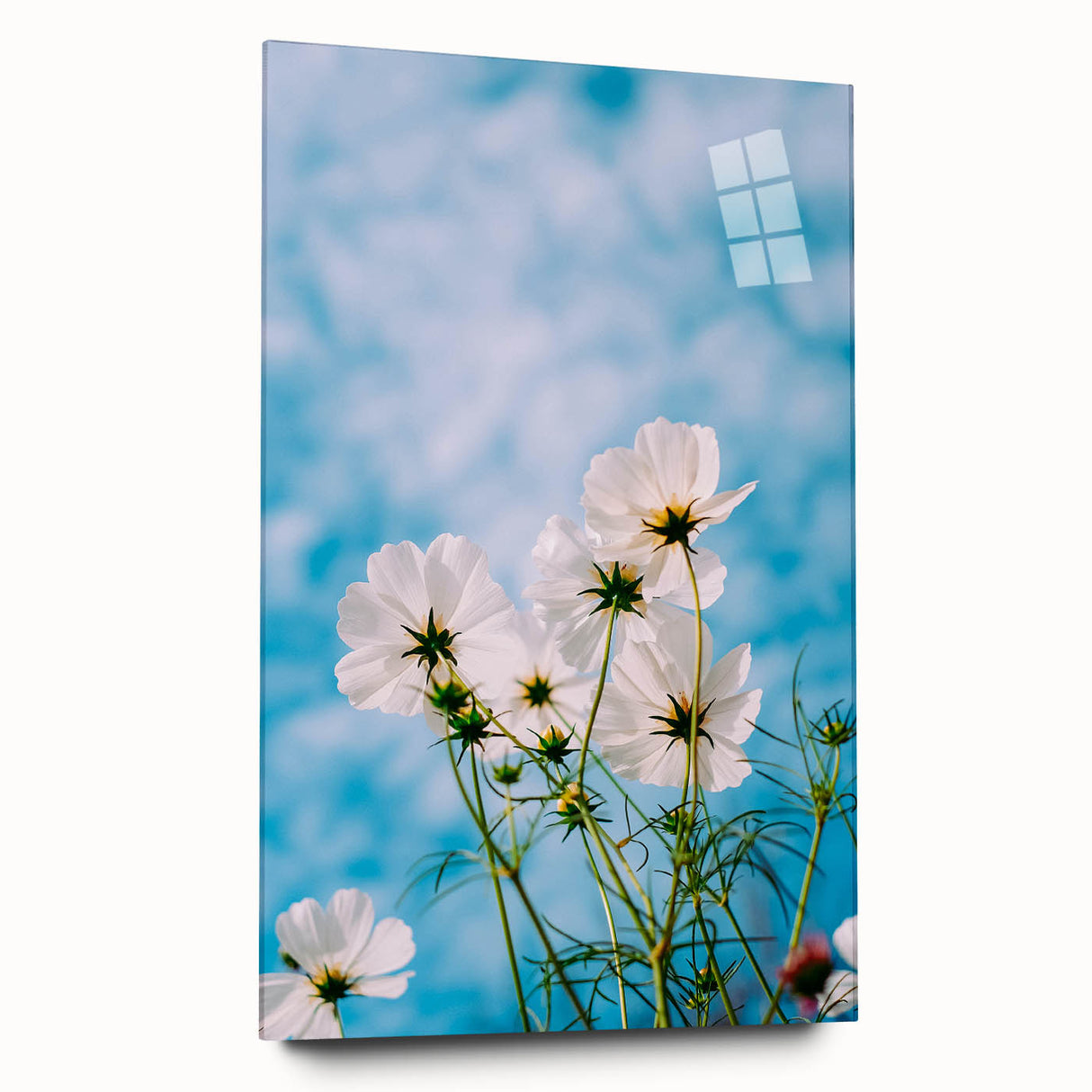 Large abstract wall art on acrylic glass depicting vibrant spring colors, ideal for bedroom or dining room decor.