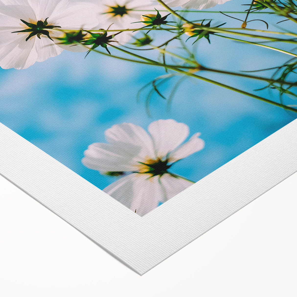 Art deco poster featuring a stylized spring scene in pastel colors on rolled canvas, suitable for dining room decor.